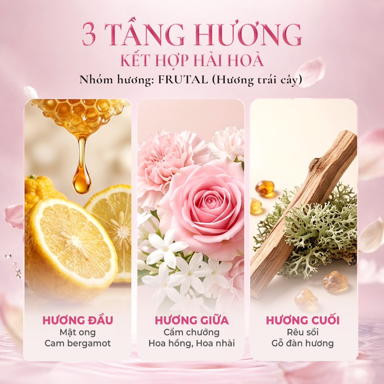 bộ 2 ảnh 5