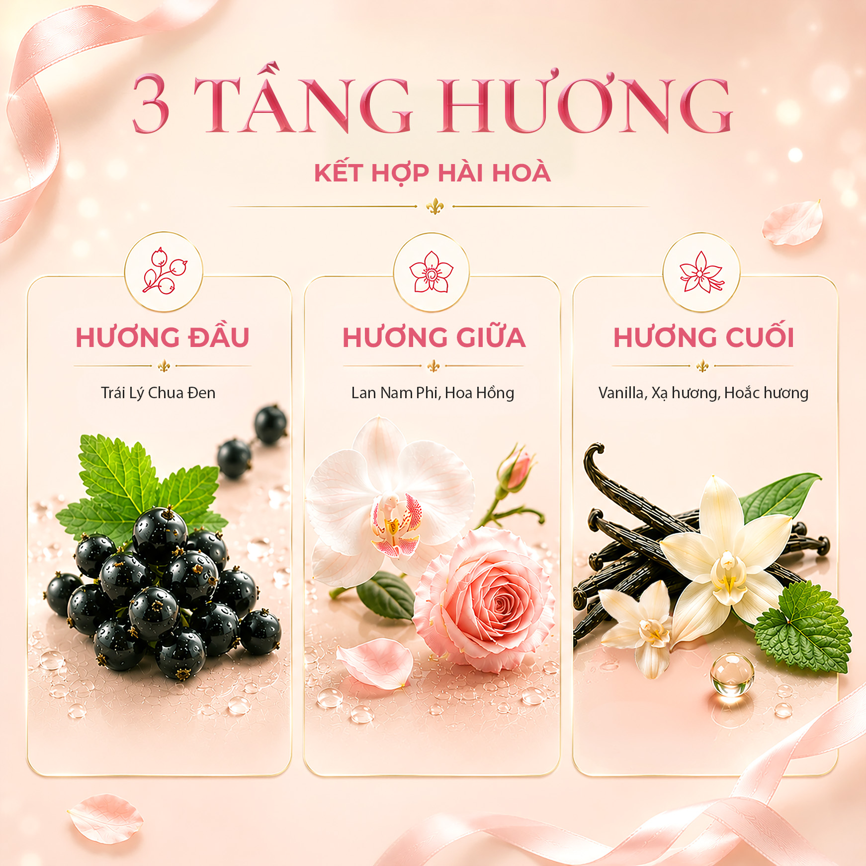 ảnh 5